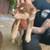 Shepsky pups 8 thumbnail