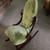 Country Rocking Chair 5 thumbnail