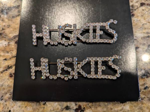 University of Washington Huskies logo pin 1