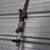 Pole Saw 1 thumbnail