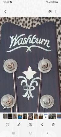 Washburn D21 1