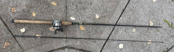Fenwick Eagle II Rod 1
