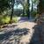 GATED SINGLE FAMILY HOUSE, RV & BOAT PARKING + WORKSHOP + STORAGE 5 thumbnail