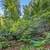 Almost 1/3 of an acre up above the Russian River! 2 thumbnail