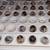 Giant Pharaoh Coturnix Quail Eggs 2 thumbnail