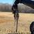 Timberjack 240A 8 thumbnail