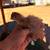 Silkie chicks 2 thumbnail