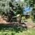 3343 Wagontrail Dr- Large Single Family Home Available NOW!! 19 thumbnail