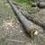 I will remove tree wood rounds, firewood, or tree logs 5 thumbnail