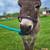 Mini Jack Donkey 2 thumbnail