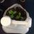 container and/or gardening beds 2 thumbnail