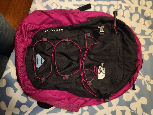 North Face Borealis backpack 1