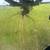 Skid Steer 2 thumbnail