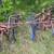 Super C two row front and rear cultivators 7 thumbnail