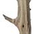 AUSTIN TX 32" DRIED WOOD Natural Decorative Sandblasted Branch 6 thumbnail