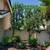 `☆`Stump Grinding`☆` Palms Trimming `☆` Tree Removed `☆` Tree Trimming 3 thumbnail