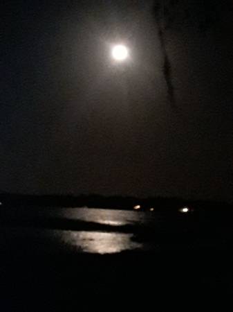 $50 RV space on Lake Hernando 🚎 (Community of Hernando)63768080326403122
