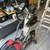 BowFlex 4 thumbnail