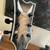 Dean Thoroughbred Select Floyd Quilt Maple 3 thumbnail