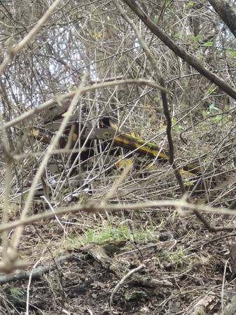 Looking for scrap metal 1