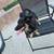 Small dog 2 thumbnail