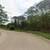 Prime Location Near Dunns Creek & St. John's River - 10k Square Ft Lot 4 thumbnail