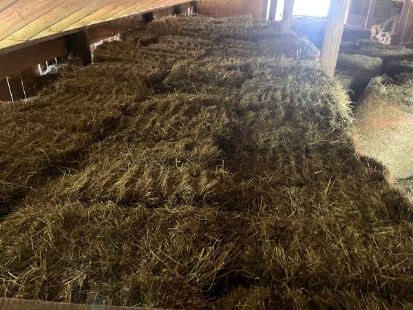 HAY FOR SALE 1