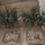 Artificial decorative olive tree arrangement 5 thumbnail