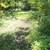Land 5 Acres 14 thumbnail