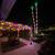 Holiday Lights Installation or Color Changing Permanent Landscape Lts 5 thumbnail