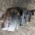 IHC Scout Brake Booster 1975-80 1 thumbnail