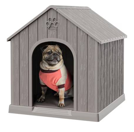 Pugs 1