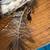 Talking Stick, Native American style, 34"L 7 thumbnail