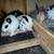 Meat rabbits 2 thumbnail