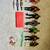 WWE Rings, Wrestler Figurines, Collector Cards 1 thumbnail