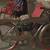 vintage antique prewar bike collection 8 thumbnail