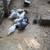 Poultry 1 thumbnail