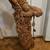 Large Macramé Camel Head 3 thumbnail