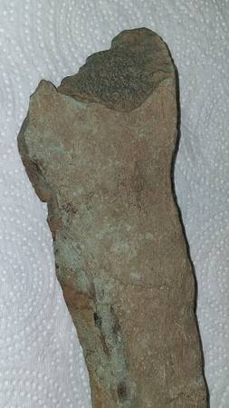 Prehistoric weapon. 1