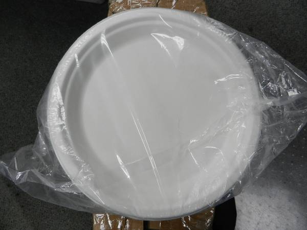 Eco Choice Sugarcane Fiber 9" Dinner Plates 1