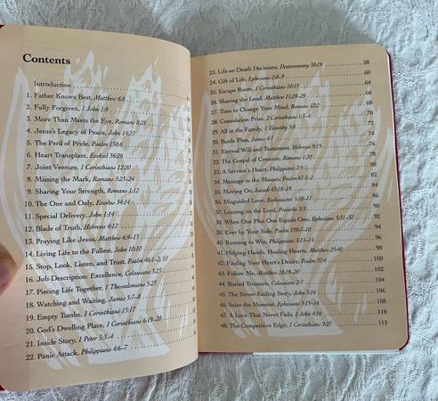 LOS 100 VERSÍCULOS BÍBLICOS MÁS IMPORTANTES Por Thomas Nelson - Tapa dura, a estrenar - $5 (Arlington Heights)63470804002305122