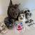 Halloween Decorations Masks 1 thumbnail