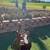 Epiphone Riviera Noel Gallagher Signature Guitar 1 thumbnail