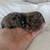 adorable 3 thumbnail