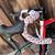 Fuji Altamira Di2 LE Full Carbon Road Bike (Single speed) 5 thumbnail