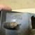 1973 Ford Torino / Ranchero LF Turn signal light 6 thumbnail