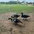 Duck 1 thumbnail