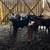 Weaned Calfs 3 thumbnail