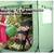 New- Pop Up Greenhouse Tent 6 thumbnail
