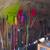 Garage Tools and Toys....  consolidation 3 thumbnail